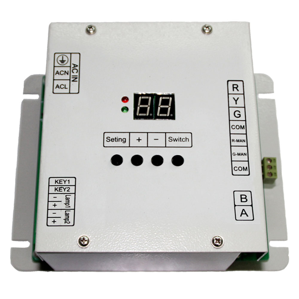 Регулировщик движения на пешеходном переходе