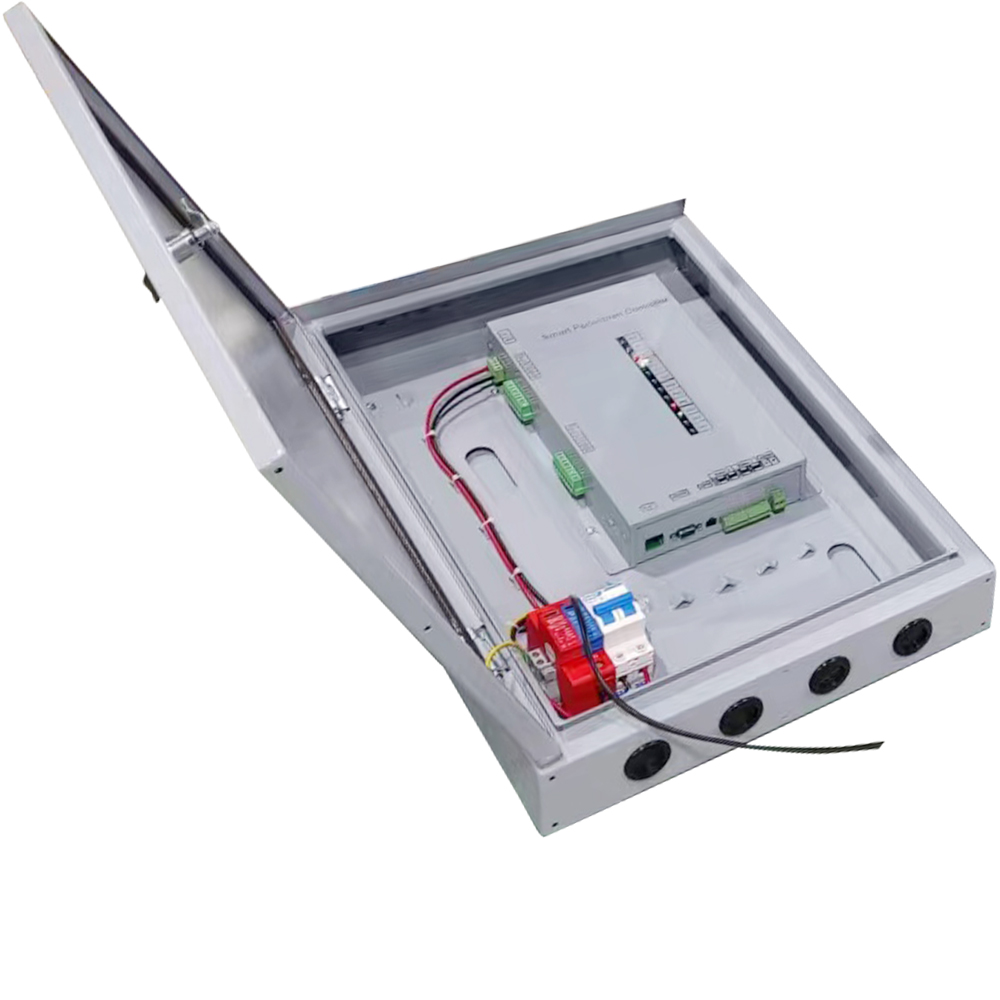 Регулировщик движения на пешеходном переходе