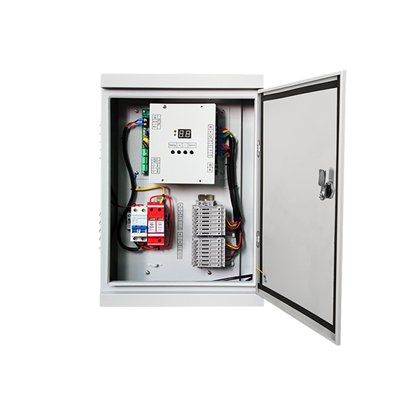 Регулировщик движения на пешеходном переходе