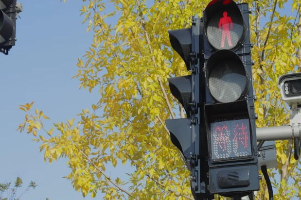 Звуковые пешеходные сигналы FAMA с пластиковым корпусом проданы в количестве более 7500 единиц в ноябре и установлены более чем на 1000 перекрестках. Звуковые пешеходные сигналы FAMA с пластиковым корпусом проданы в количестве более 7500 единиц в ноябре и установлены более чем на 1000 перекрестках.